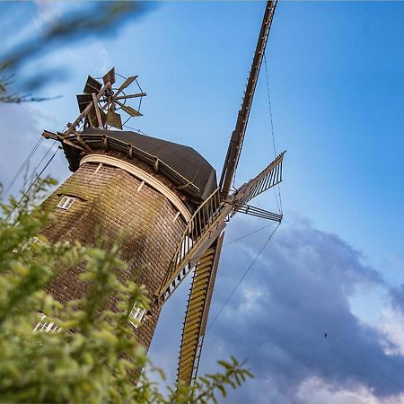 Villa Seeland 179 Villa Seeland App 1 Heringsdorf  Eksteriør billede